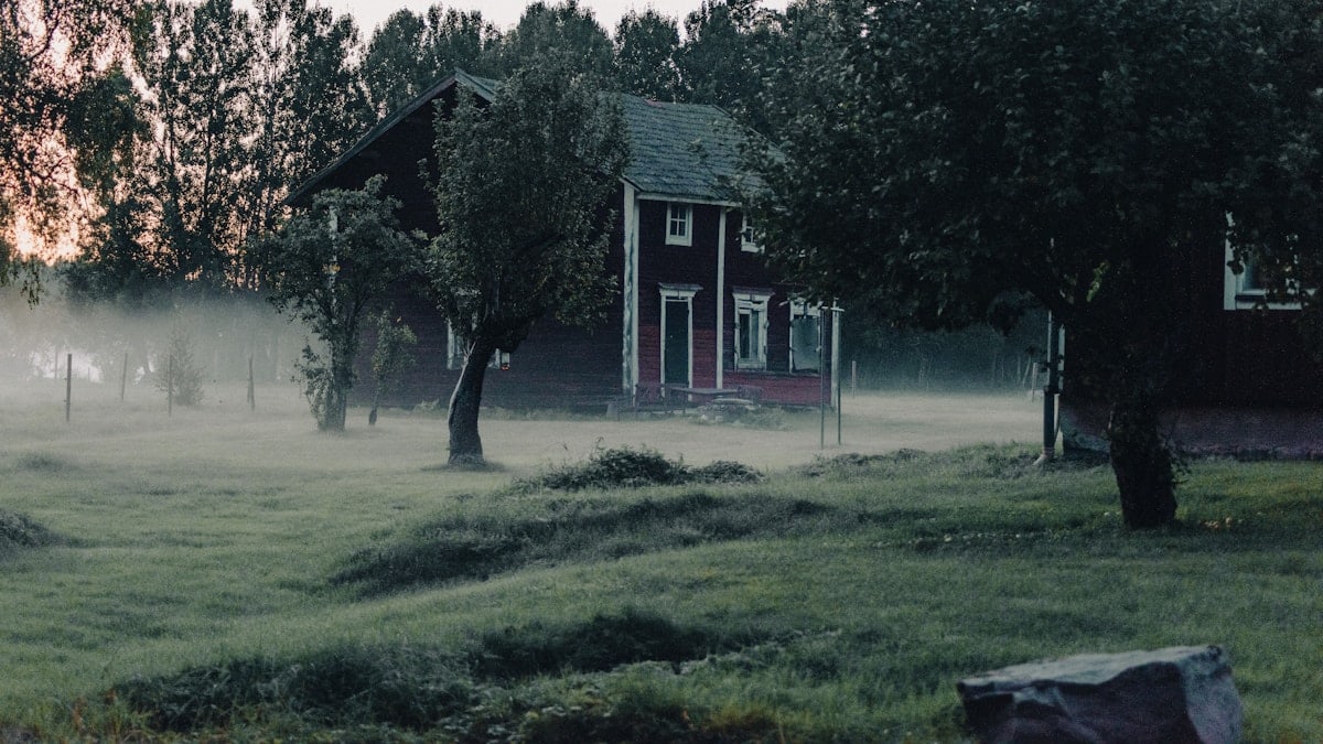 a foggy field with a house in the distance