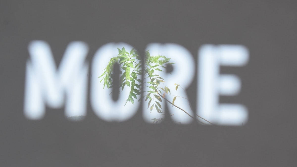 "Plant MORE Plants"